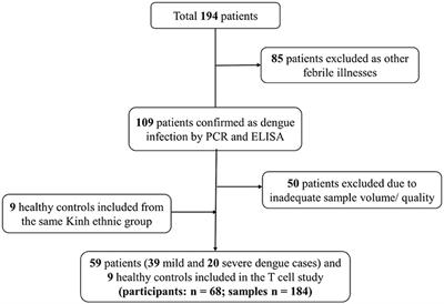 Kinetics of CD4+ T Helper and CD8+ Effector T Cell Responses in Acute Dengue Patients